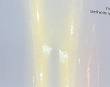 E1603 Shell White and Purple – Film Covering Premium