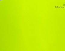 5809T Matte White – Film Covering Premium