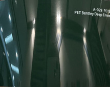 A-025 PET Bentley Night Green – Film Covering Premium